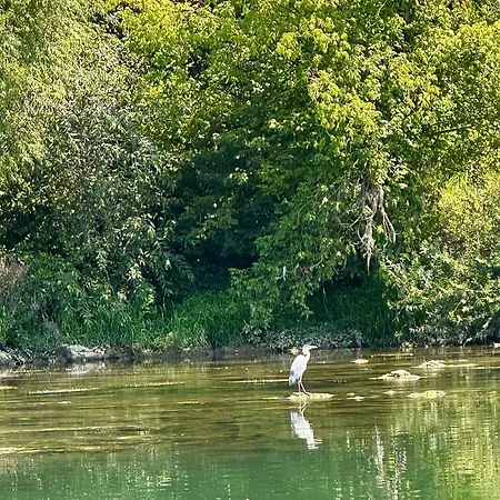 Dabar Kuca Za Odmor * Banja Luka